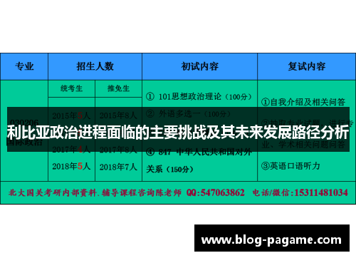 利比亚政治进程面临的主要挑战及其未来发展路径分析