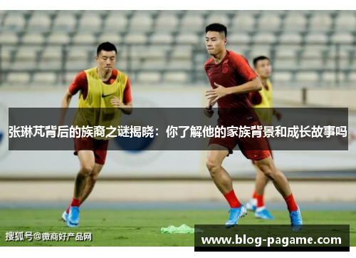 张琳芃背后的族裔之谜揭晓：你了解他的家族背景和成长故事吗