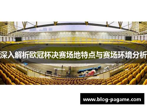 深入解析欧冠杯决赛场地特点与赛场环境分析