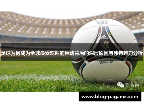 足球为何成为全球最受欢迎的运动背后的深层原因与独特魅力分析