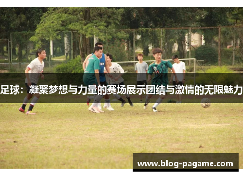 足球：凝聚梦想与力量的赛场展示团结与激情的无限魅力
