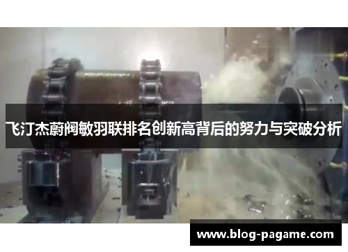 飞汀杰蔚阀敏羽联排名创新高背后的努力与突破分析