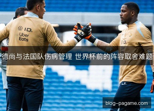 德尚与法国队伤病管理 世界杯前的阵容取舍难题