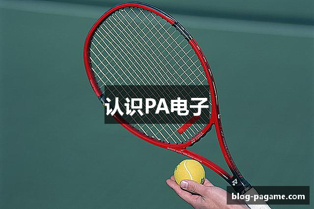 认识PA电子